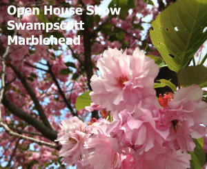 Open Houses Marblehead | Swampscott 5-17-15