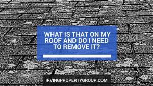 What is that on my roof and do I need to remove it-